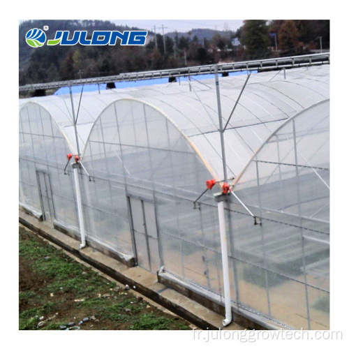 Greenhouse de la ferme intelligente pour la tomate